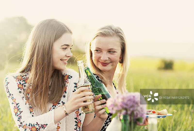 女友们在田野上举杯野餐图片素材