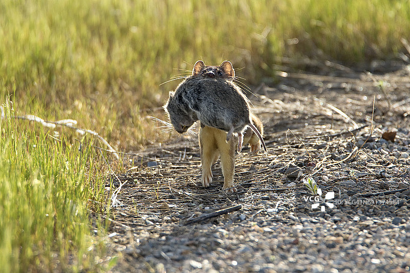 晚餐吃什么？图片素材