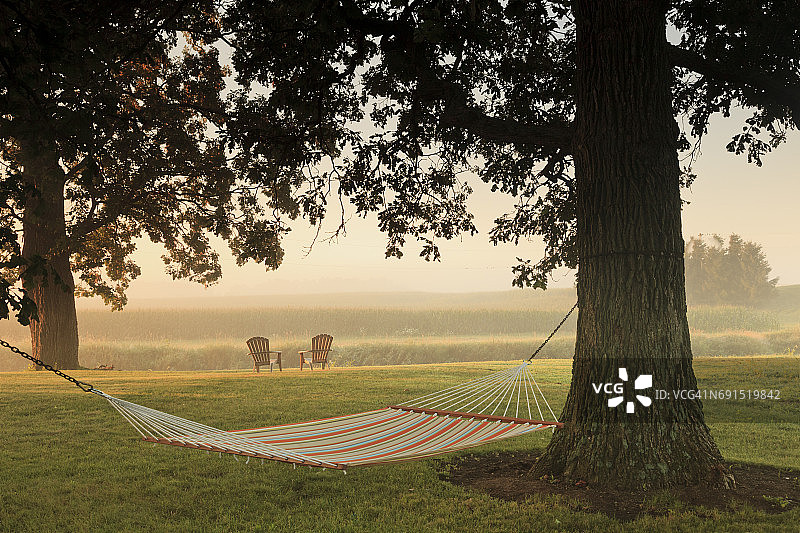 田野景观：两棵树之间的吊床图片素材
