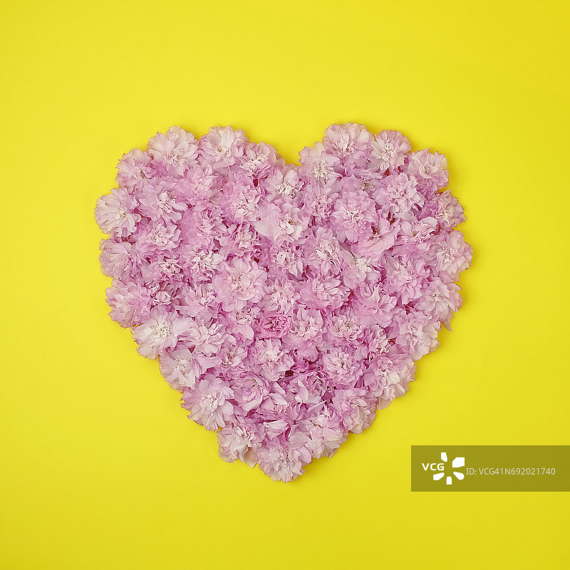 心形粉色关山樱花图片素材