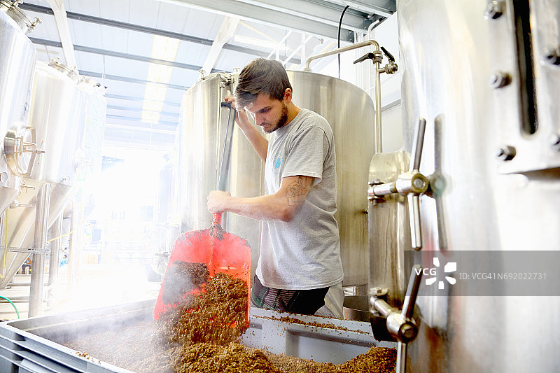 在啤酒厂工作的工人，从糖化醪液桶中倒出谷物图片素材
