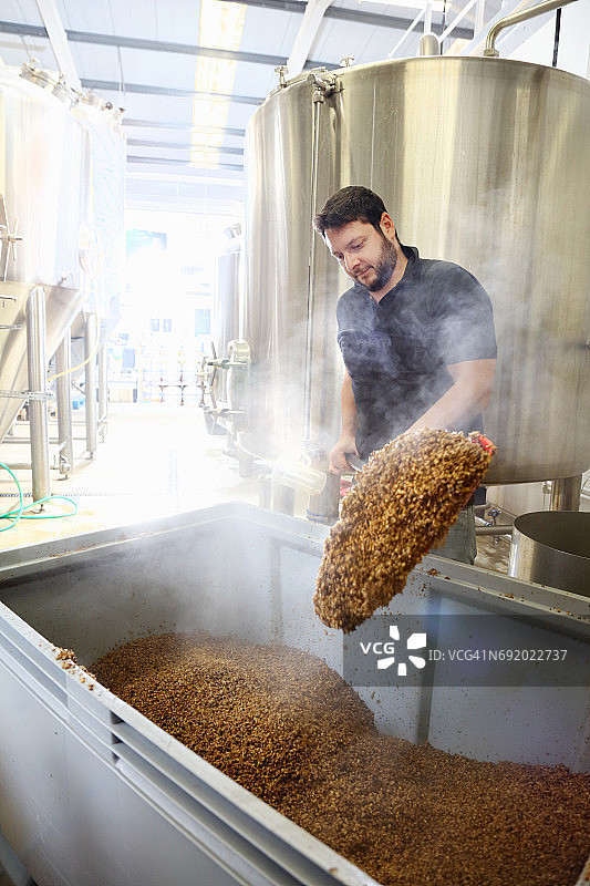 在啤酒厂工作的工人，从糖化醪液桶中倒出谷物图片素材
