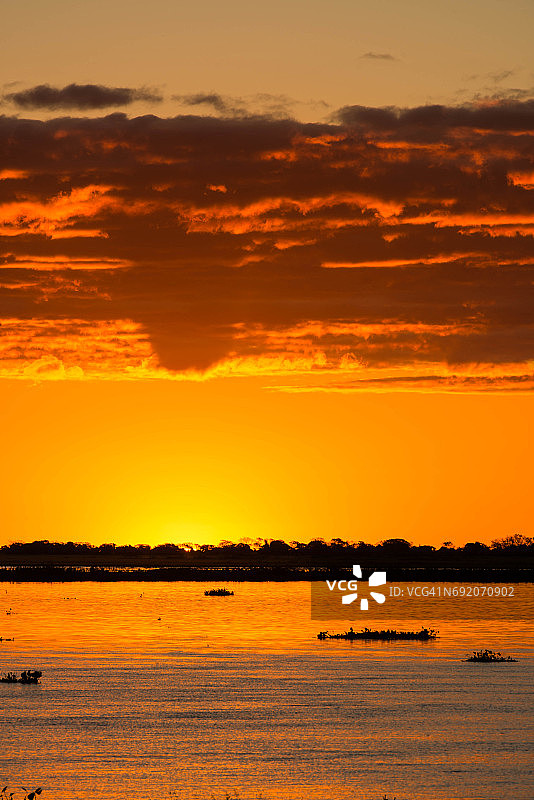 潘塔纳尔湿地的色彩图片素材