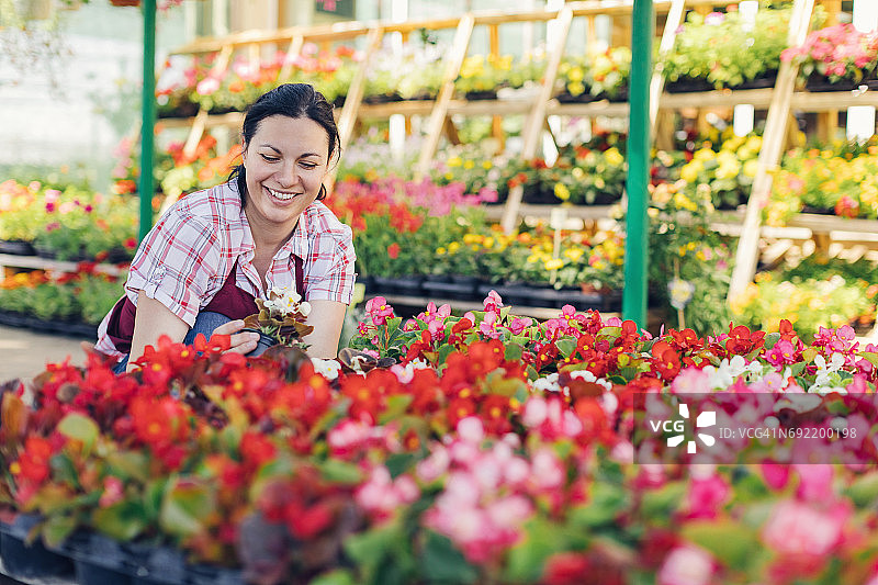 在花园中心花丛中的园丁图片素材
