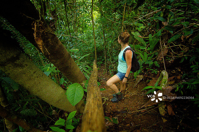 丛林徒步的单身旅行者图片素材