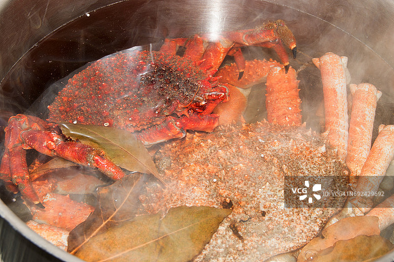 清炖蜘蛛蟹图片素材