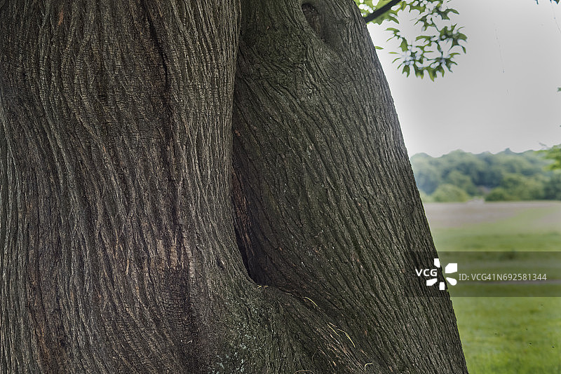 里士满公园风光图片素材