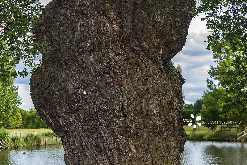 里士满公园风光图片素材
