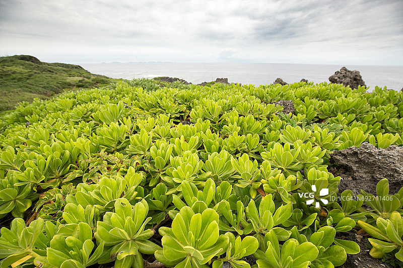 冲绳边户岬风光，日本图片素材