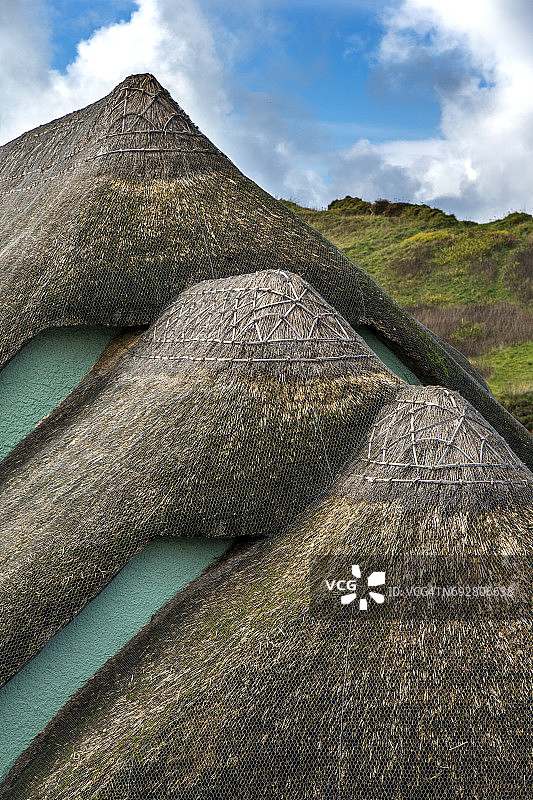 德文郡茅草屋顶小屋特写，霍普湾图片素材
