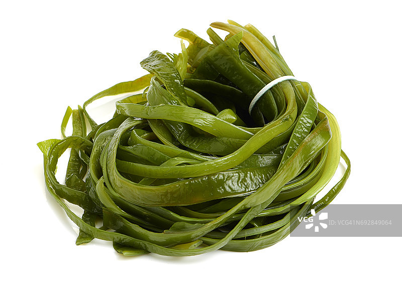 白色背景上的海藻图片素材