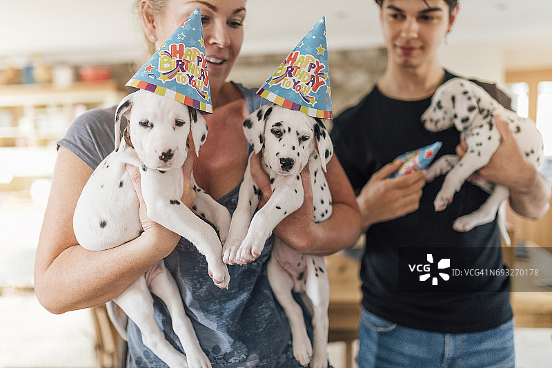 小狗参加生日派对图片素材