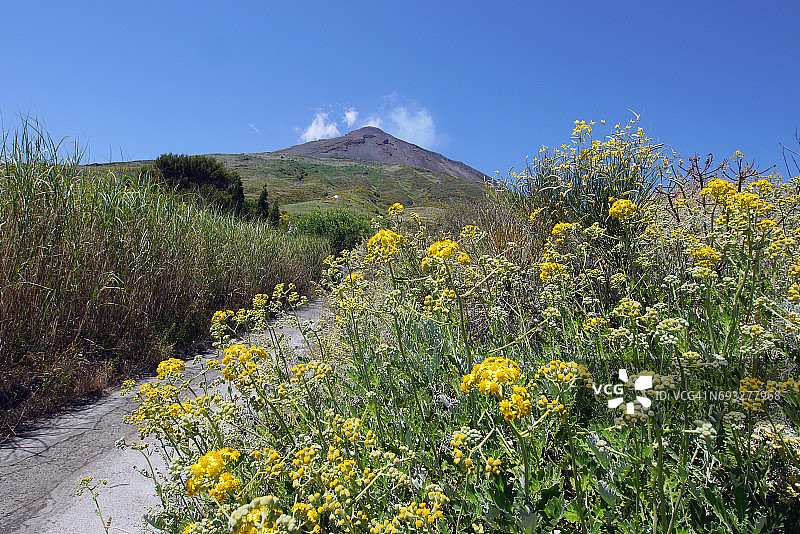 意大利埃奥利群岛的斯特龙博利岛图片素材