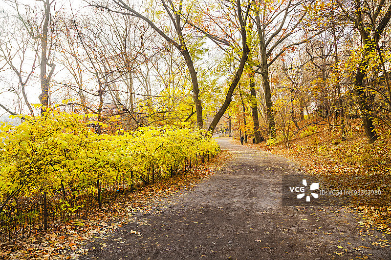 秋天的中央公园图片素材