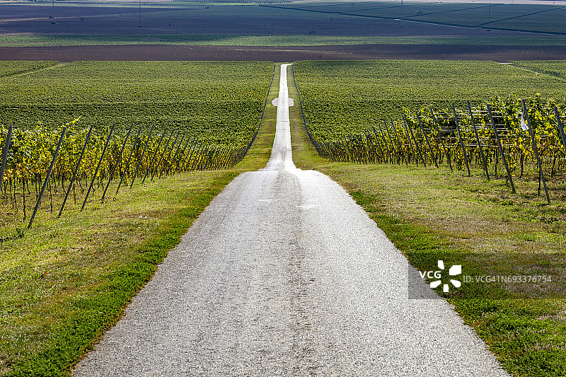 葡萄园公路之旅图片素材