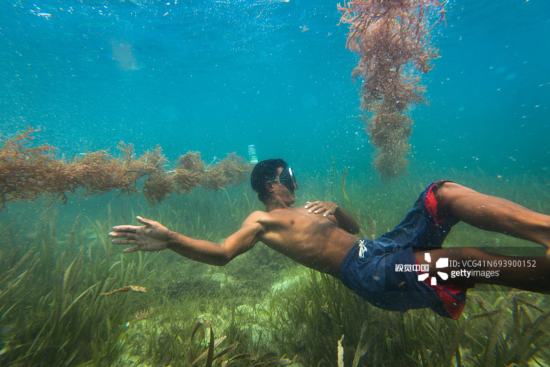 巴瑶族男人潜水检查水产养殖海藻图片素材