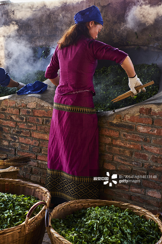 中国云南西双版纳：普洱茶茶叶晾晒图片素材