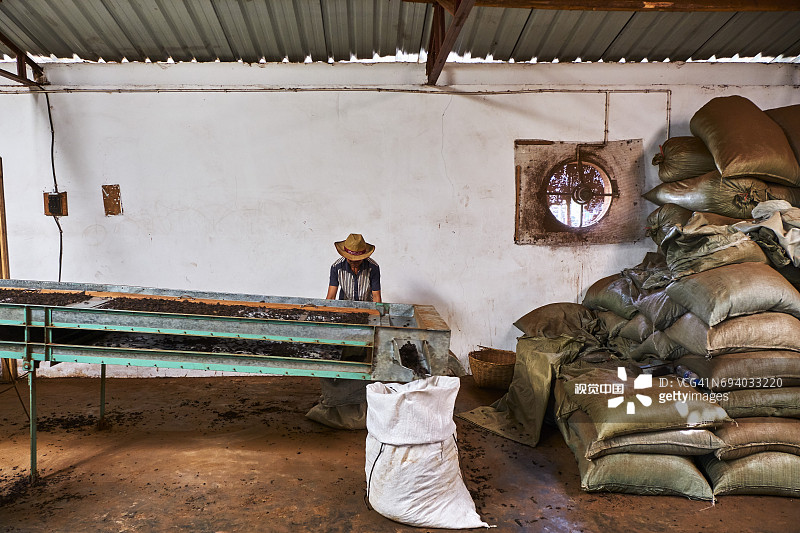 中国云南西双版纳普洱茶厂优质普洱茶图片素材