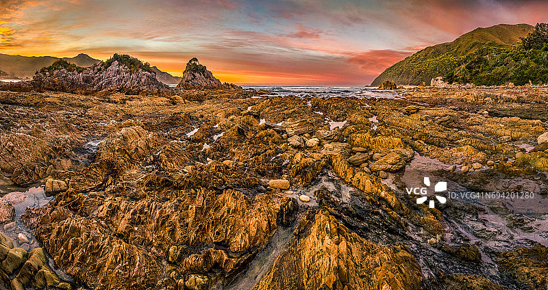 威尔逊·布赖特图片素材