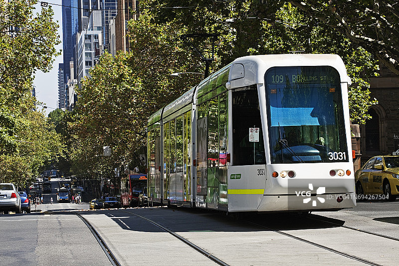 澳大利亚墨尔本柯林斯街的有轨电车图片素材