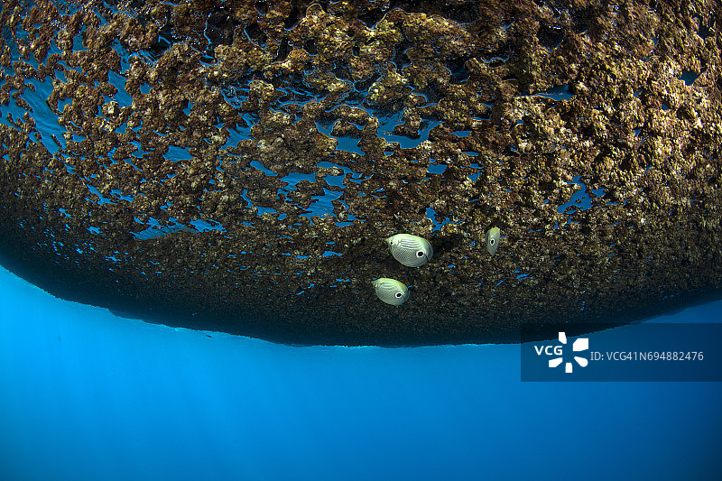 水下洞穴图片素材