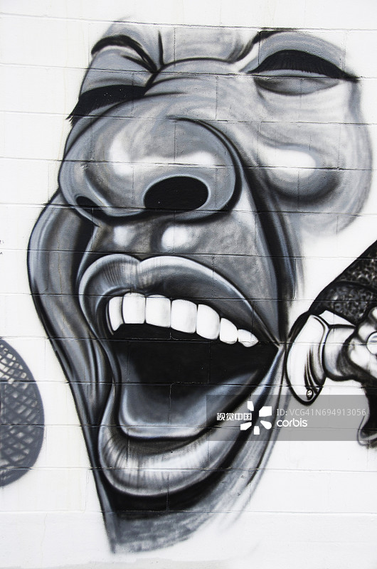 艾瑞莎·富兰克林爵士表演者黑白喷枪绘画图片素材