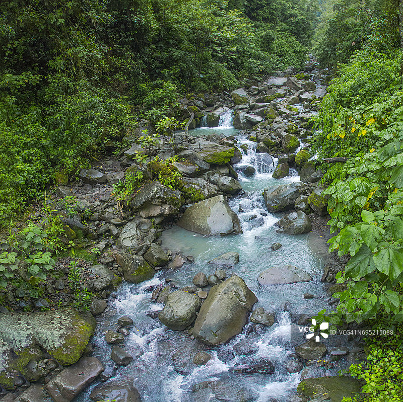 阿奎亚雷斯河，哥斯达黎加的热带雨林图片素材