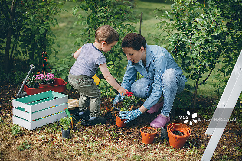 母亲帮助小男孩园艺种植图片素材