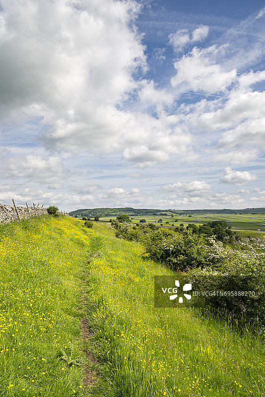 英格兰峰区克雷斯布鲁克戴尔上方的野花图片素材