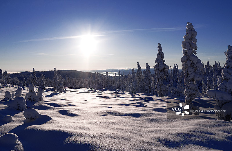 挪威一月越野滑雪道沿途的梦幻冬季景色图片素材