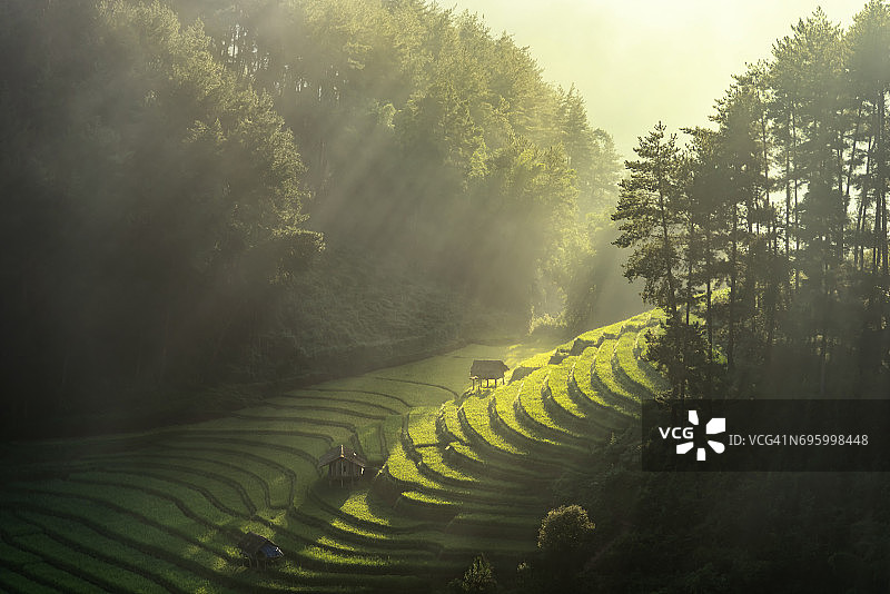 三栋房子图片素材