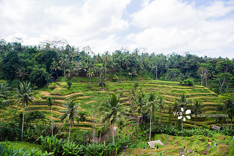中国台湾巴厘岛美丽的梯田风光图片素材