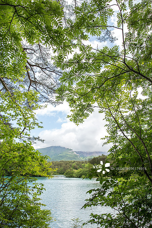 日本福岛五色沼的春日景色图片素材