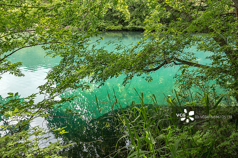 日本福岛五色沼的春日景色图片素材