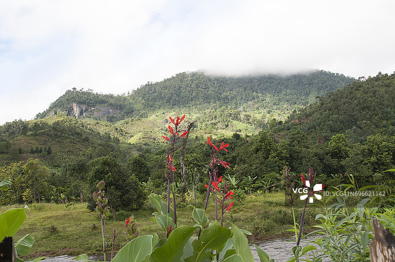 拉诺马法纳和纳米罗纳河，马达加斯加图片素材