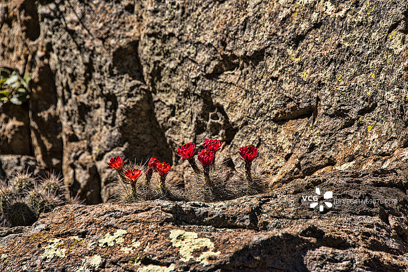 Chiricahua国家纪念碑图片素材