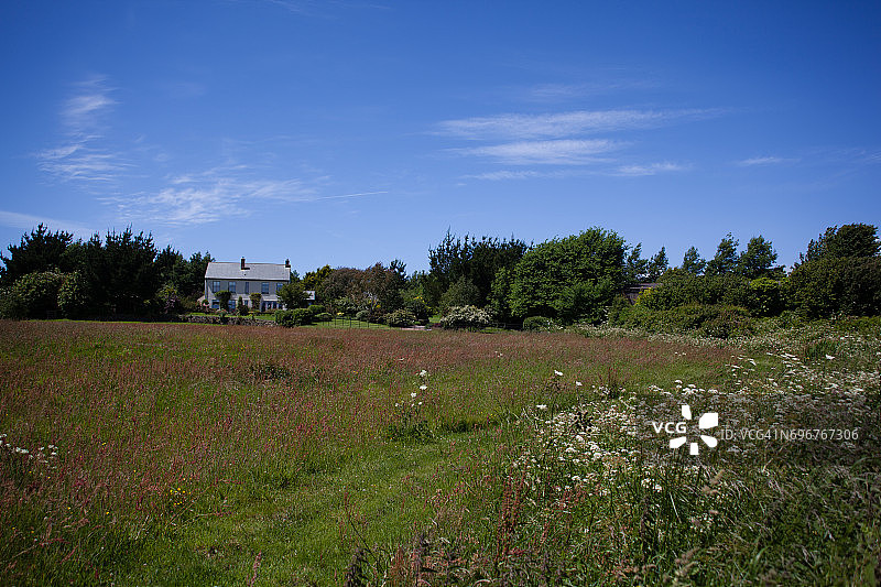 退潮时搁浅在河口滩涂上的帆船图片素材