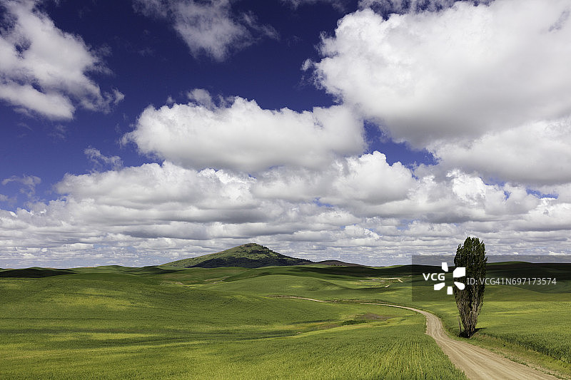 道路，帕卢斯地区的丘陵和农田图片素材