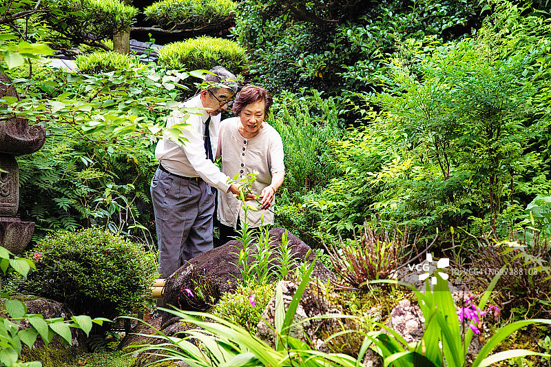 年长的日本夫妇参观花园，欣赏植物图片素材