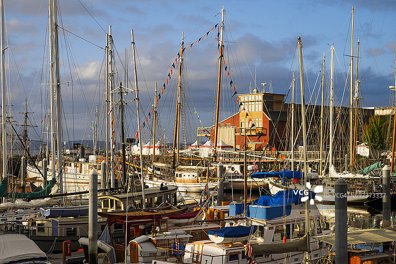 码头的帆船图片素材