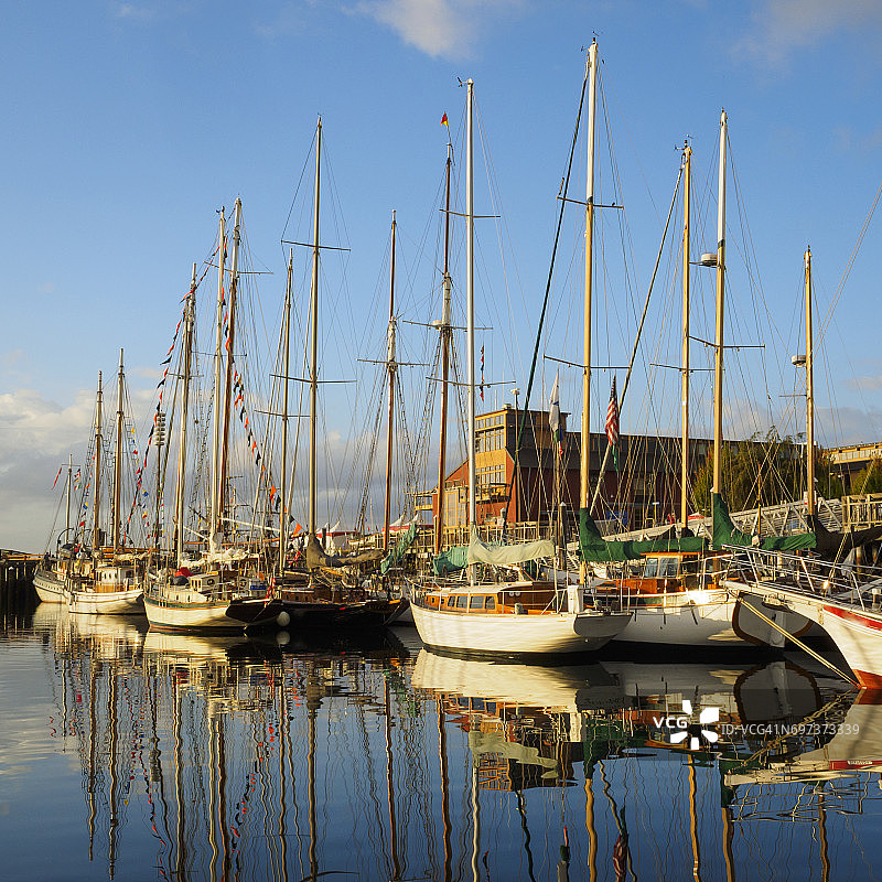 码头的帆船图片素材