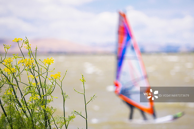 在河流上玩帆板图片素材