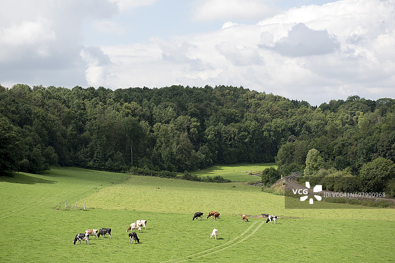 比利时那慕尔省屈斯蒂讷附近的乡村风光图片素材