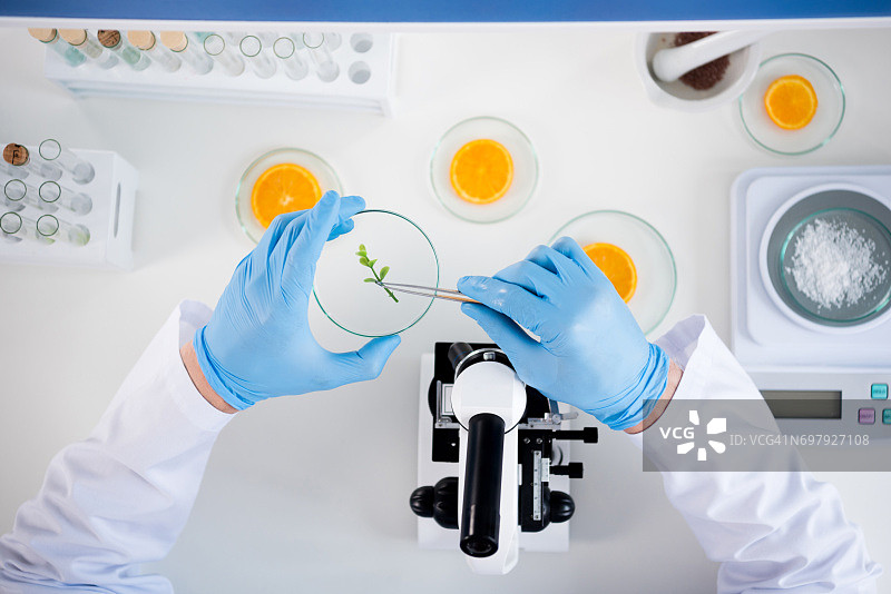 在现代生物实验室工作的男科学家图片素材