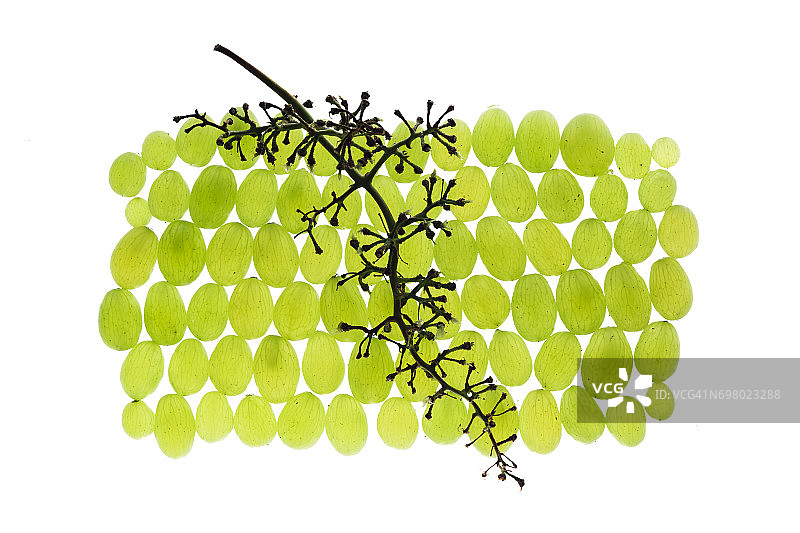 分离的绿色葡萄图片素材