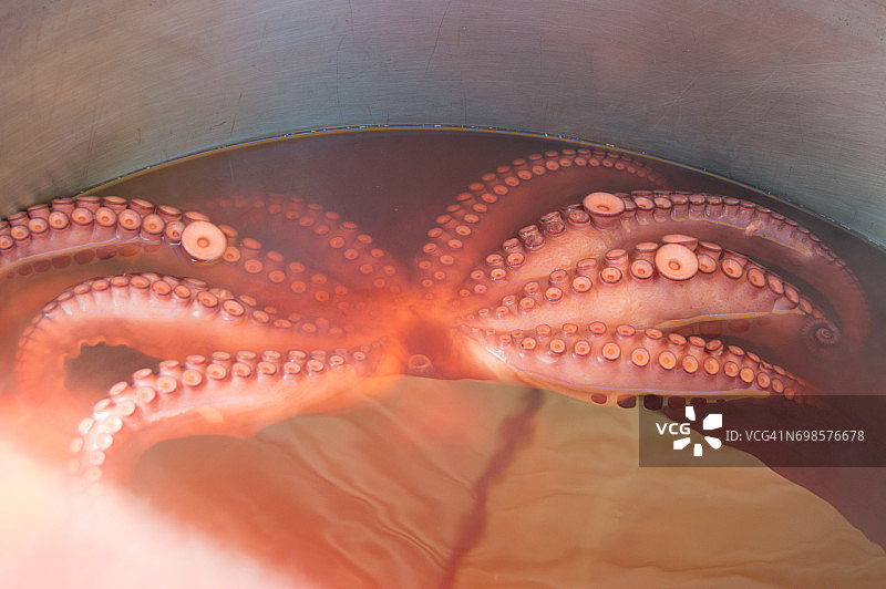 烹饪锅里的章鱼图片素材