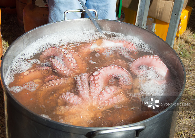 烹饪锅里的章鱼图片素材