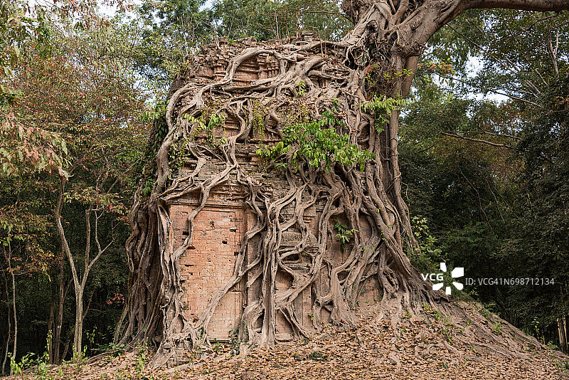 柬埔寨磅同三波坡雷寺的Issey静修所图片素材