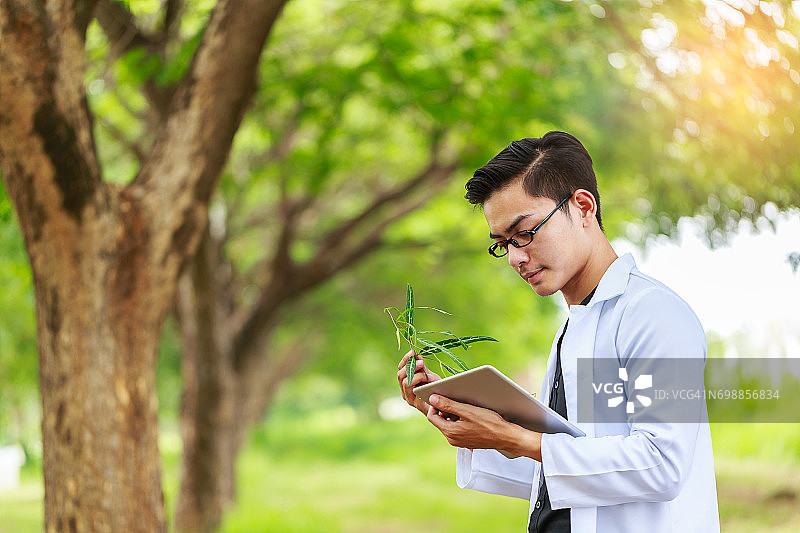 亚洲生物技术科学家在森林公园检查植物图片素材