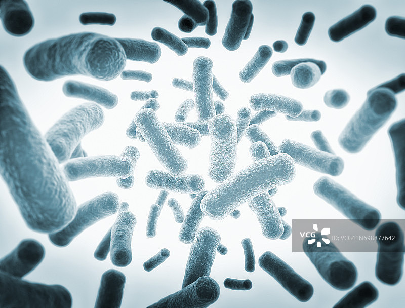 细菌细胞图片素材
